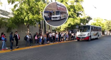 Así estará el servicio de transporte público en León de jueves a domingo
