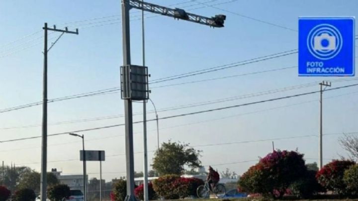 Servicio comunitario por fotomulta: ¿qué hay que hacer?