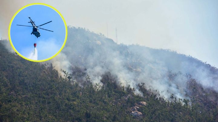 Incendios forestales en México ¿Qué hacer en caso de estar cerca de uno?