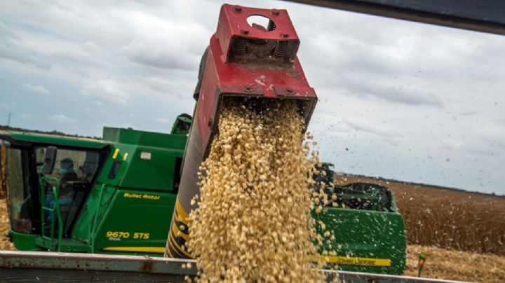 Glifosato: las contradicciones de la 4T sobre el uso del herbicida