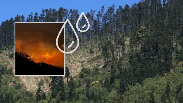 ¿Cuándo podría llover en Altas Montañas de Veracruz? Zona con incendios forestales