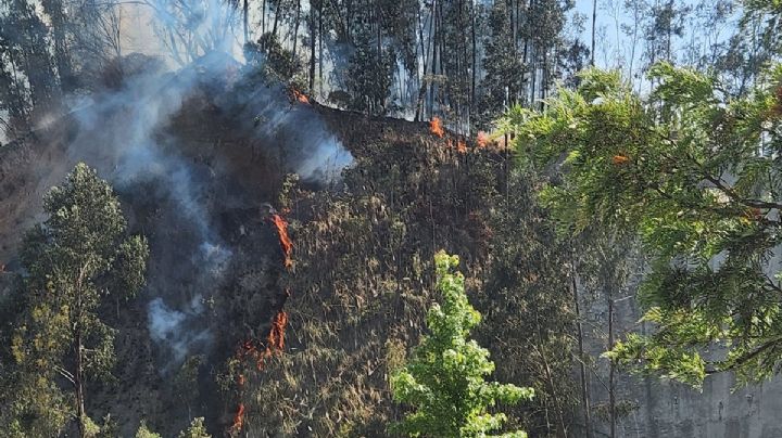 Arde Santa Fe: Reportan incendio forestal cerca de Parque La Mexicana
