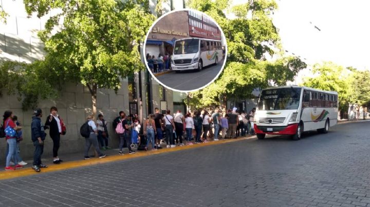 Así estará el servicio de transporte público en León de jueves a domingo