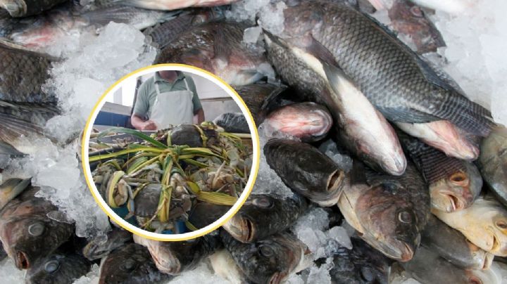 ¿Cuánto aumentará el pescado y marisco en Semana Santa en Veracruz?