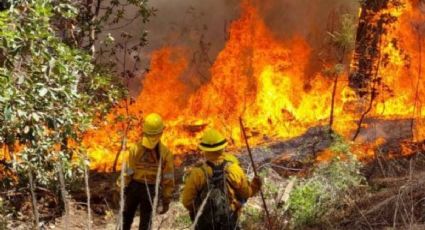 Incendios forestales en Edomex: Aún permanecen 10 siniestros activos