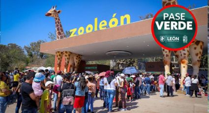 Suspenden pase gratis a zoológico, parques y deportivas este fin de semana