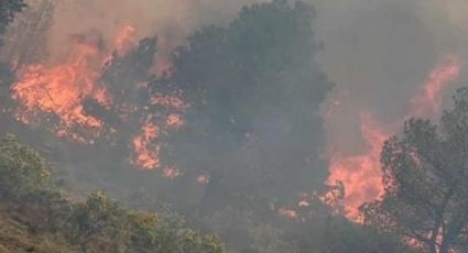 “Todos los incendios forestales son críticos"; Jilotzingo y Malinalco prioridad para Edomex
