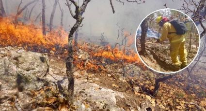 Empiezan a contener el fuego en la Sierra de Santa Rosa en Guanajuato