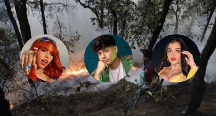 Karely, Ántrax, Yeri MUA y otros influencers que ayudaron a Veracruz por incendios