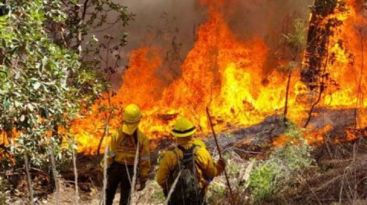 Incendios forestales en Edomex: Aún permanecen 10 siniestros activos