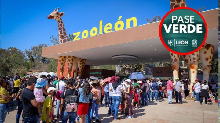 Suspenden pase gratis a zoológico, parques y deportivas este fin de semana