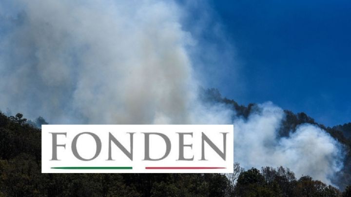 Fonden y otros fideicomisos eliminados por la 4T