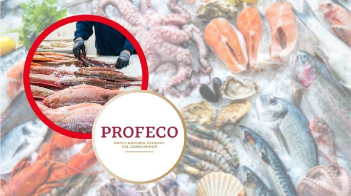 Semana Santa: Así debes conservar tus pescados y mariscos según Profeco