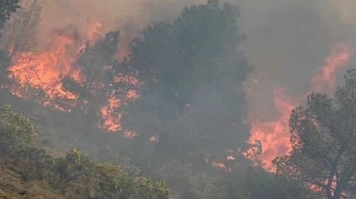 “Todos los incendios forestales son críticos"; Jilotzingo y Malinalco prioridad para Edomex
