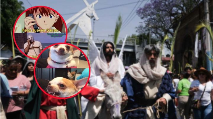 Estos son los mejores memes que ha dejado la Semana Santa 2024