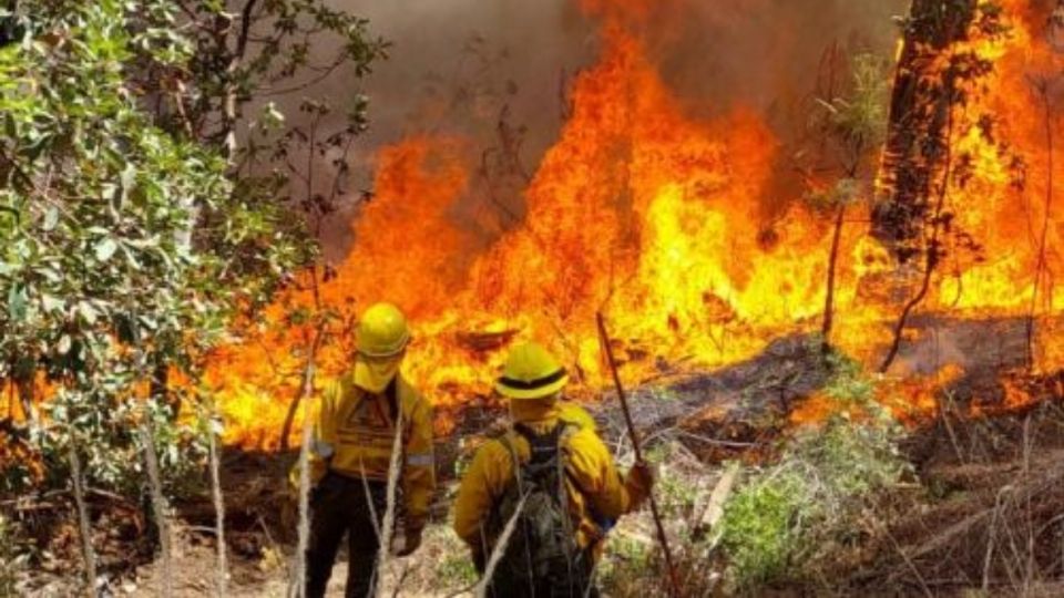 Incendios forestales en Edomex: Aún permanecen 10 siniestros activos