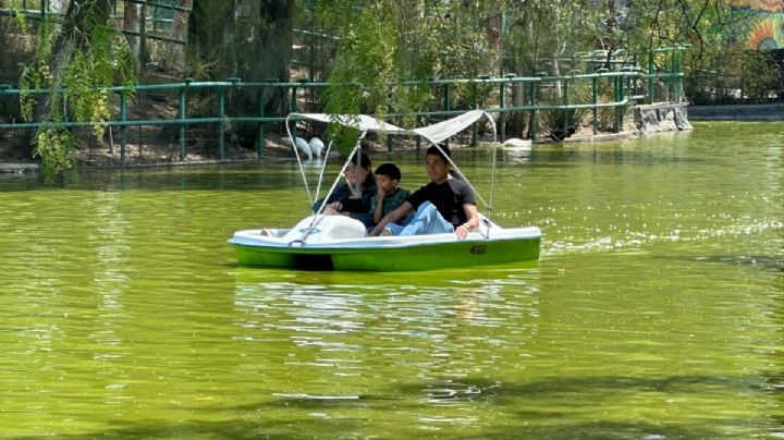 Aprovechan el puente para visitar lago, zoológico y aviario ¡por 5 pesos!