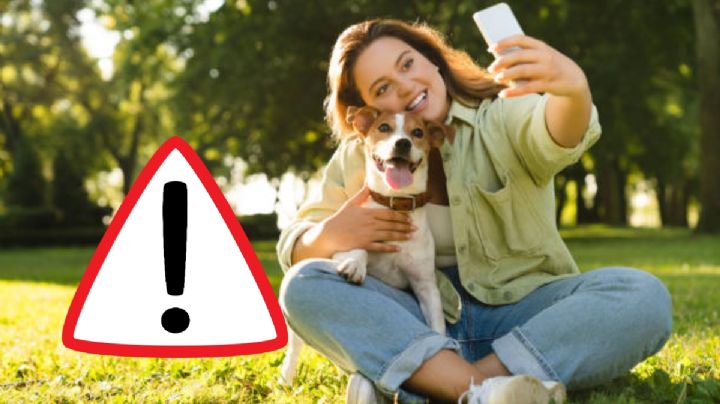 ¿Tienes mascota en casa? La otra razón para ir a la cárcel por 24 horas