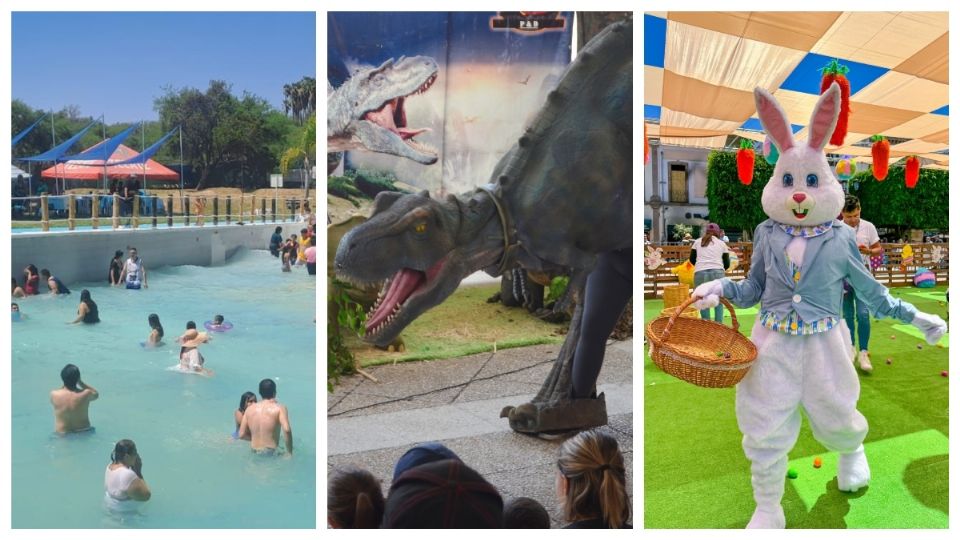 Si vas a pasar el fin de semana en León, estas son algunas de las actividades que puedes disfrutar