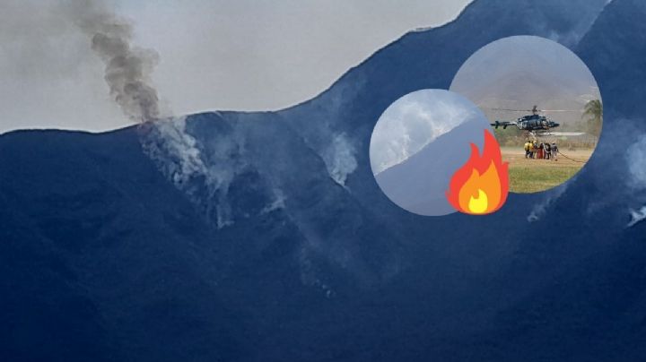 Incendio forestal en Acultzingo suma 5 días activo; trabajan en su combate