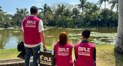 Salario de hasta 12,000 al mes: OPLE ofrece trabajo en Veracruz para elecciones 2024