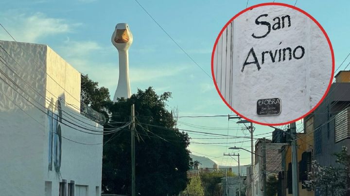 Un ganso nos vigila: ni el gobierno puede quitarlo