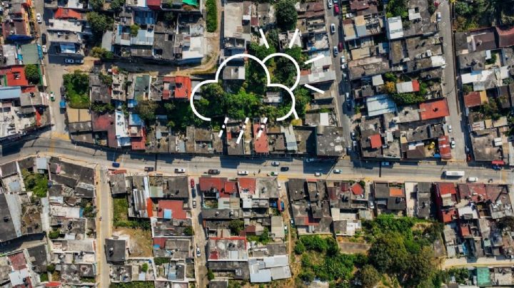 Te decimos cómo estará el clima en Xalapa hoy jueves 8 de agosto