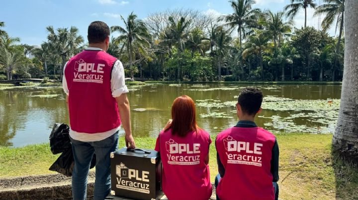Salario de hasta 12,000 al mes: OPLE ofrece trabajo en Veracruz para elecciones 2024