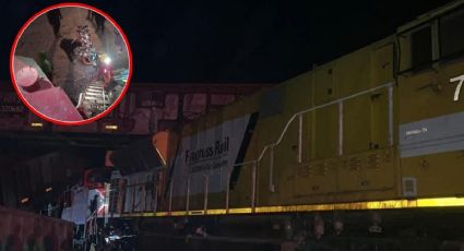 Ferromex de Germán Larrea, involucrado en choque de trenes en Amacueca, Jalisco | VIDEO