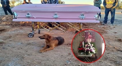 Perla fue hallada muerta después de dos años desaparecida, su perrita no se separó de su ataúd