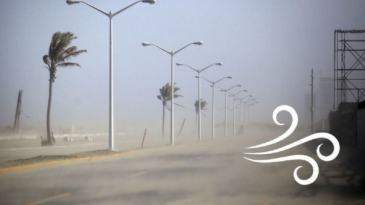 Surada Veracruz: Se acerca viento de hasta 90 km/h en estas zonas