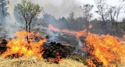 Bomberos en alerta ante posibles incendios forestales y a pastizales