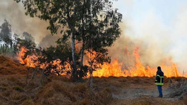 Incendios forestales prenden alerta en Edomex; van 218 en 2024