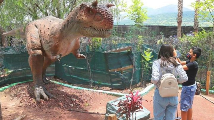 Confirmado: avistan dinosaurios en el Parque Guanajuato Bicentenario