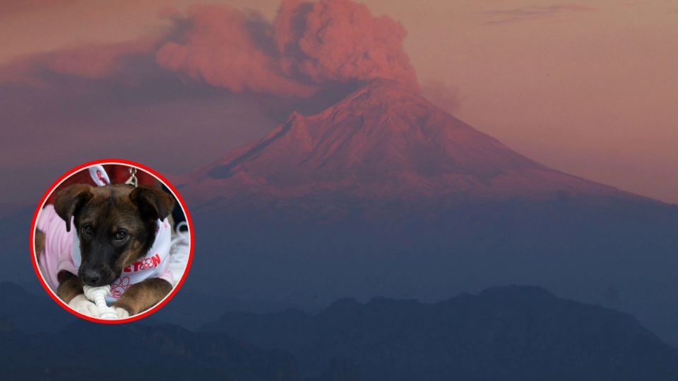 En las últimas 24 horas, el volcán Popocatépetl registró 52 exhalaciones