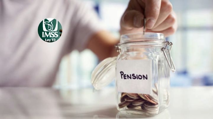 ¿Cuánto me toca de pensión Ley 73?