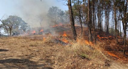 Se reportan 6 incendios forestales en Edomex