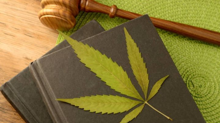 Marihuana recreativa baja de precio en Alemania ¿por qué razón?