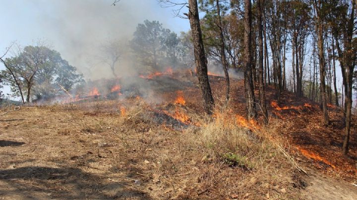 Se reportan 6 incendios forestales en Edomex