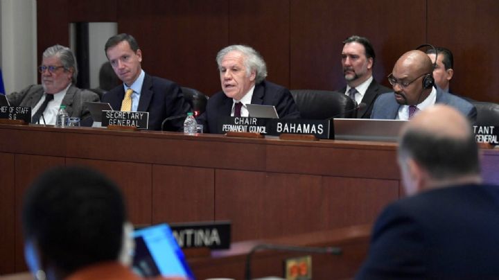 OEA condena "enérgicamente" asalto a embajada de México en Ecuador