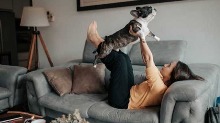 Prohibido prohibir mascotas; así es la nueva Ley de condominios en Edomex