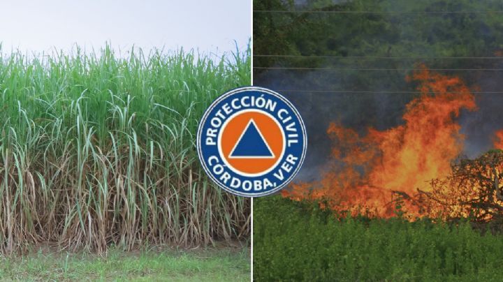 En Córdoba podrían ser suspendidas las quemas de cañales