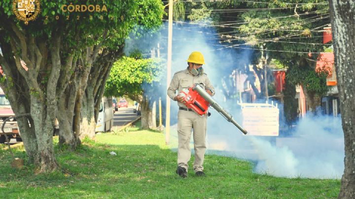 Ayuntamiento de Córdoba inicia campaña contra el dengue