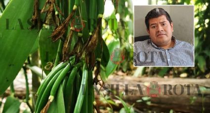 Productores de vainilla en Papantla alertan afectaciones por falta de lluvias