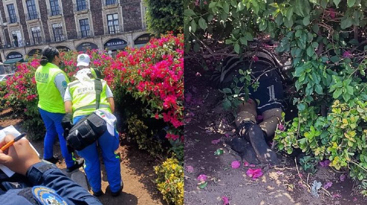 Encuentran el cuerpo de un hombre de 60 años en jardineras del Zócalo capitalino