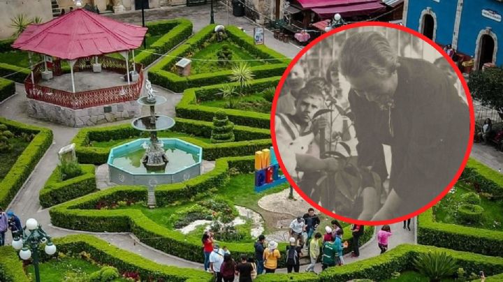 Rescatan memoria de Gabriela Mistral en Mineral del Chico, hace cien años sembró un árbol