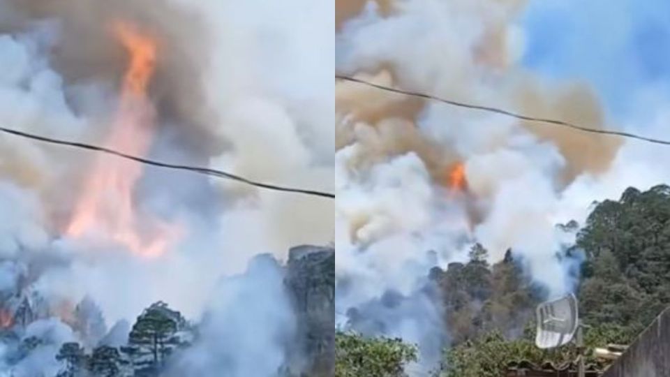 Puebla: Se desata nuevo incendio forestal en Coyomeapan
