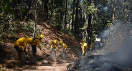 Incendios forestales: Cómo los combate Probosque