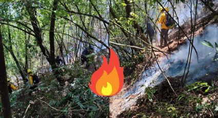 Así va el incendio forestal en el Cerro de Tenango, en Río Blanco