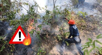 Activan Plan Tajín y DN-III-E en Río Blanco por incendio forestal en el cerro Tenango